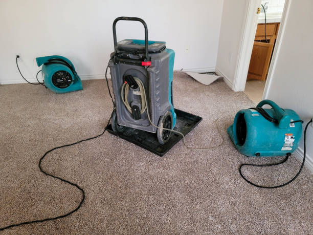 Best 24-hour water damage restoration  in Arlington, OH