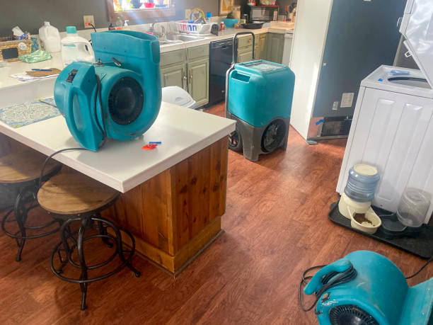 Local water damage restoration in Arlington, OH