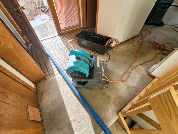 Best Commercial water damage restoration  in Arlington, OH