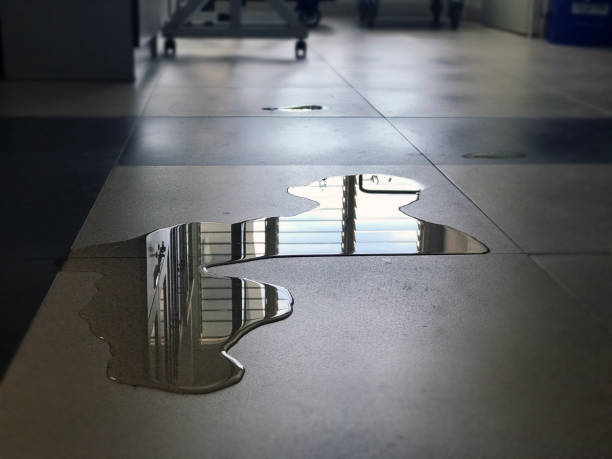 Best Water damage contractors near me  in Arlington, OH