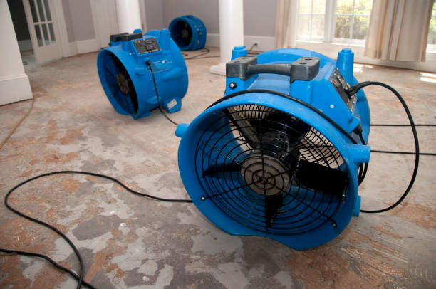 Best 24/7 water damage repair  in Arlington, OH